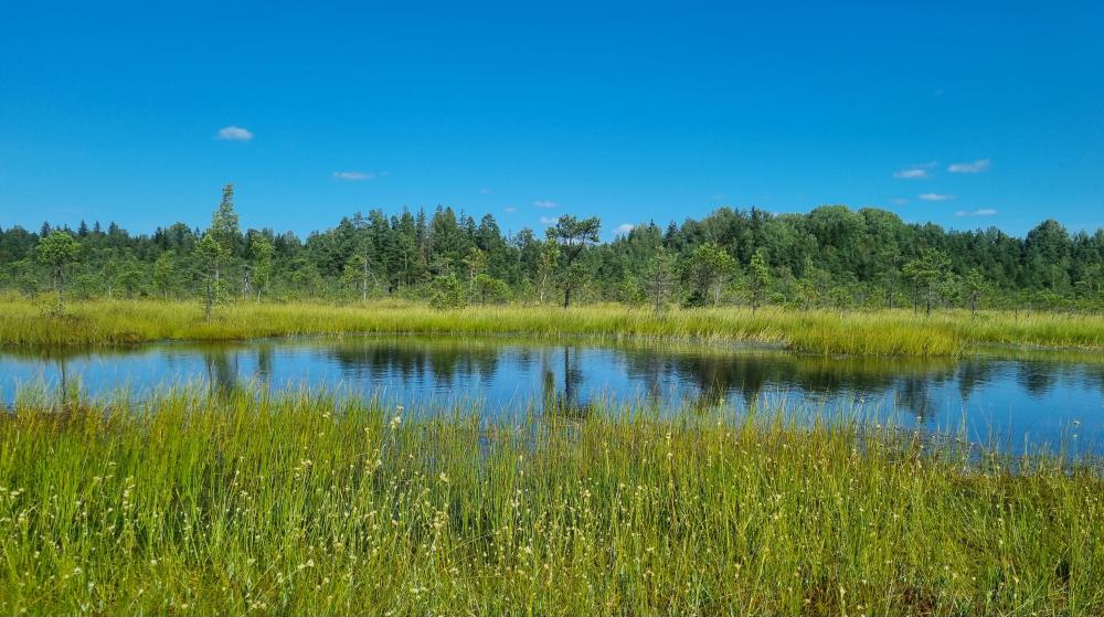 LPB pārgājiens ar purva kurpēm